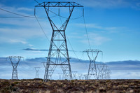 Desert Road Pylons