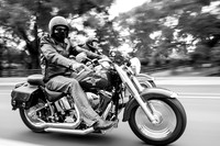 Harley Davidson