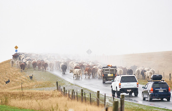 On the Move
