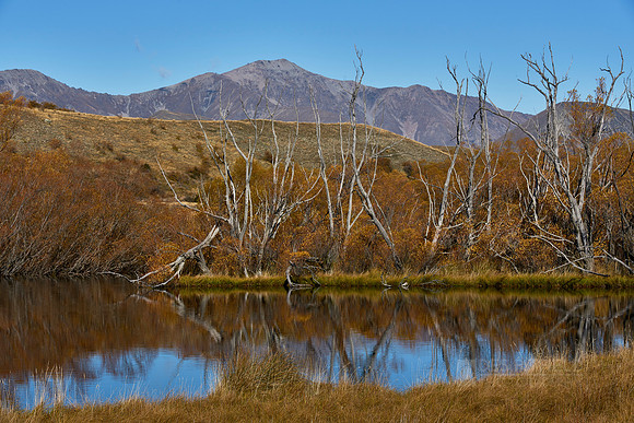 Reflections