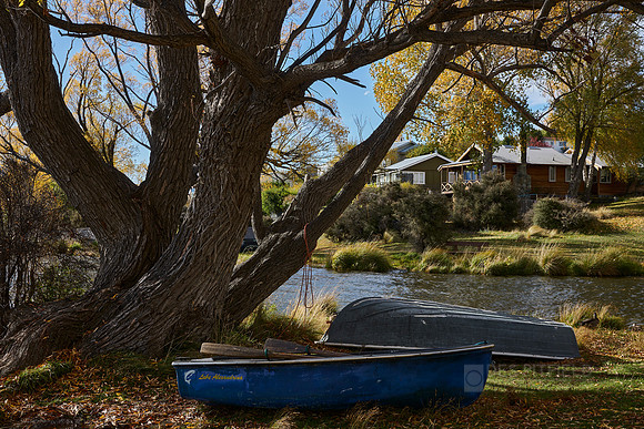 Shore of Lake Alexandrina