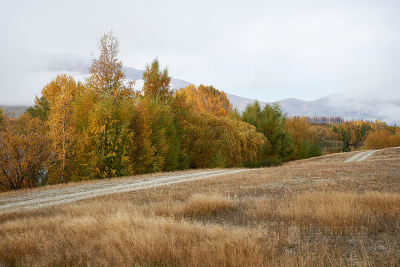 Muted Colours Misty Morning