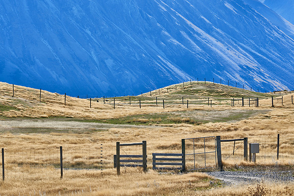 Fenced In