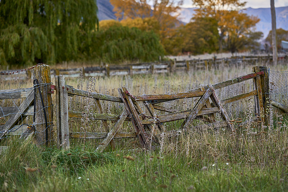 Neglected Gate near Omarama