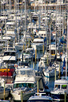 Auckland Harbour