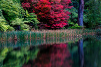 Autumn Colours