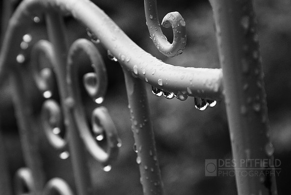 Rain Drops Keep Falling ...