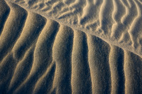 Sand Dunes