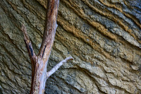 Stick
