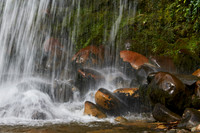 Salisbury Falls