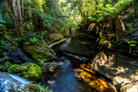Liffey Falls River