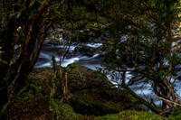The Enchanted Walk River