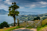 Otago Peninsula