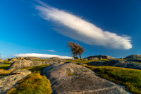 Dog Rock