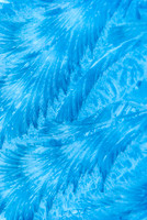 Frost